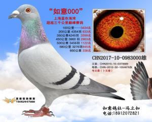CHN-2017-10-0983000