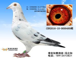 CHN2016-10-0699480