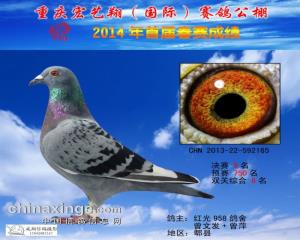 平辈