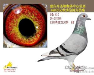 母亲