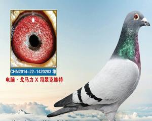 父亲